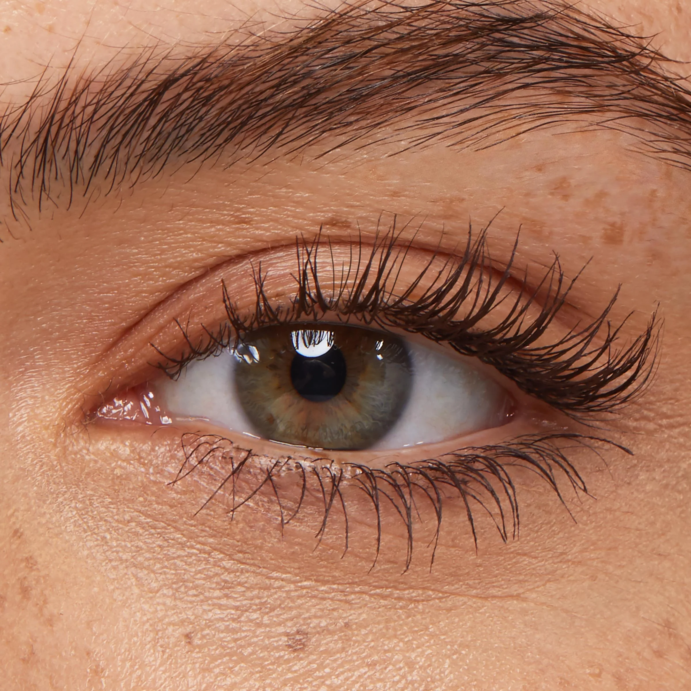 Brown - Image 4