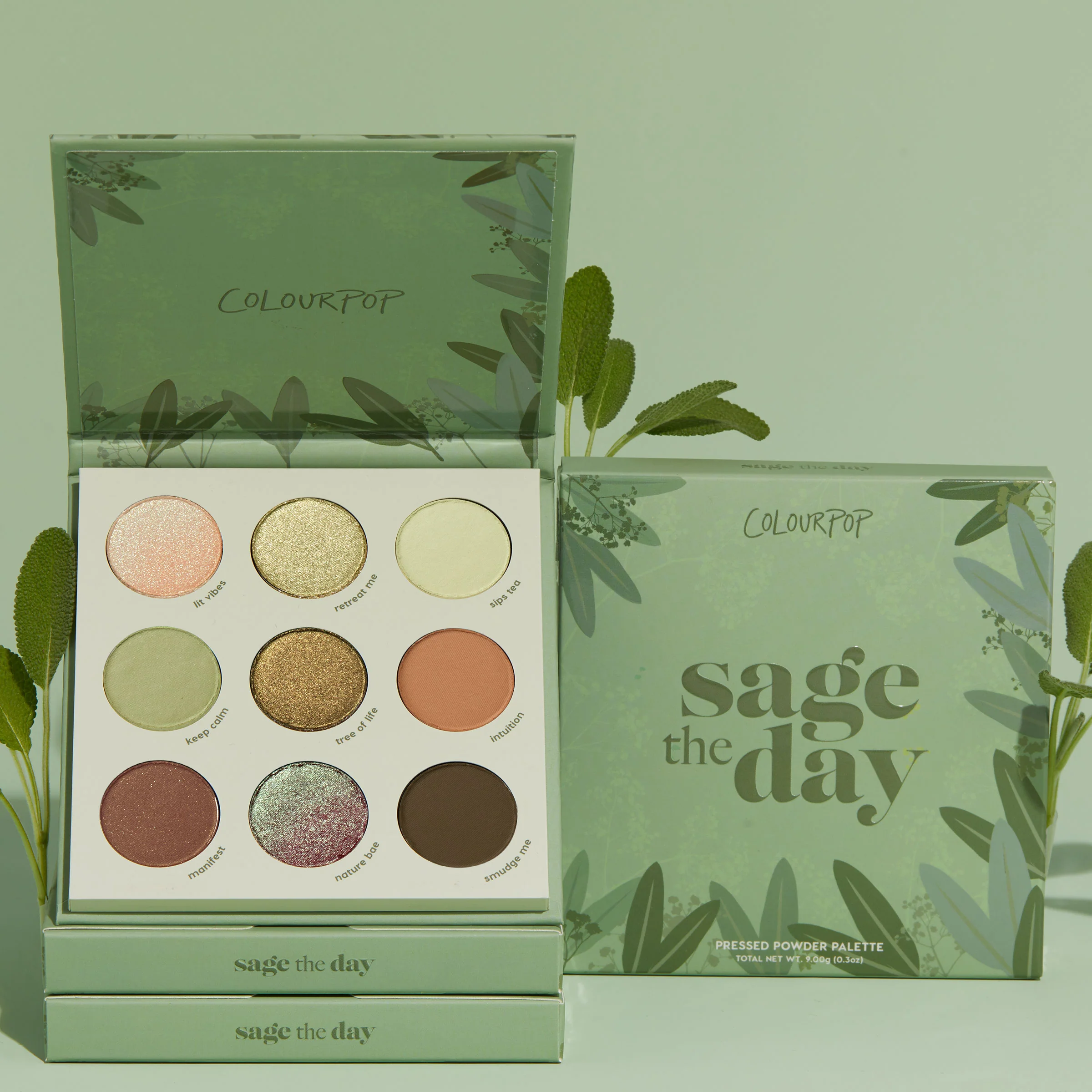 Sage The Day - Image 4